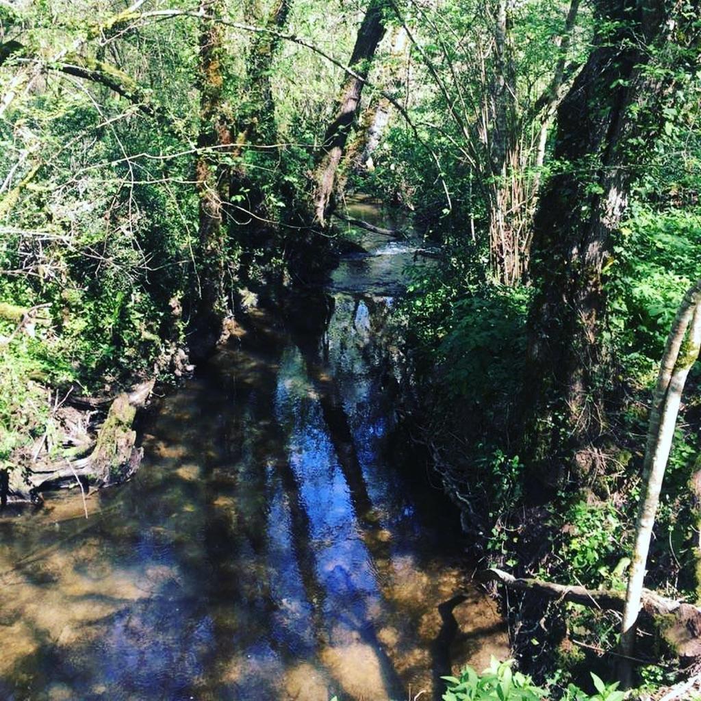 Beaulieu Saint Come Εξωτερικό φωτογραφία